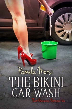 [That Business Between Us 06] • Bikini Carwash